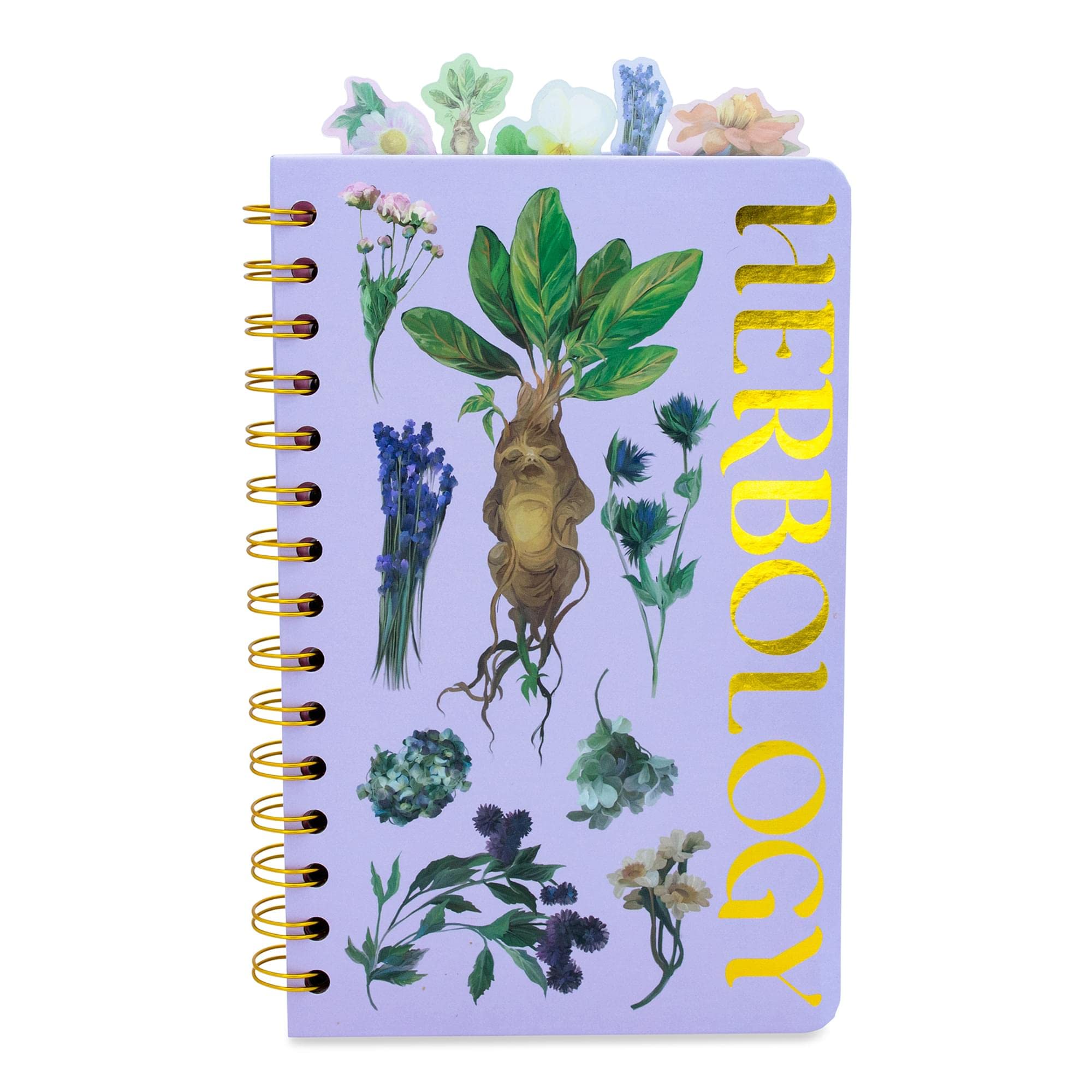 Foto 2 pulgar | Libreta Espiral Harry Potter Hogwarts Herbology 75 Páginas - Venta Internacional