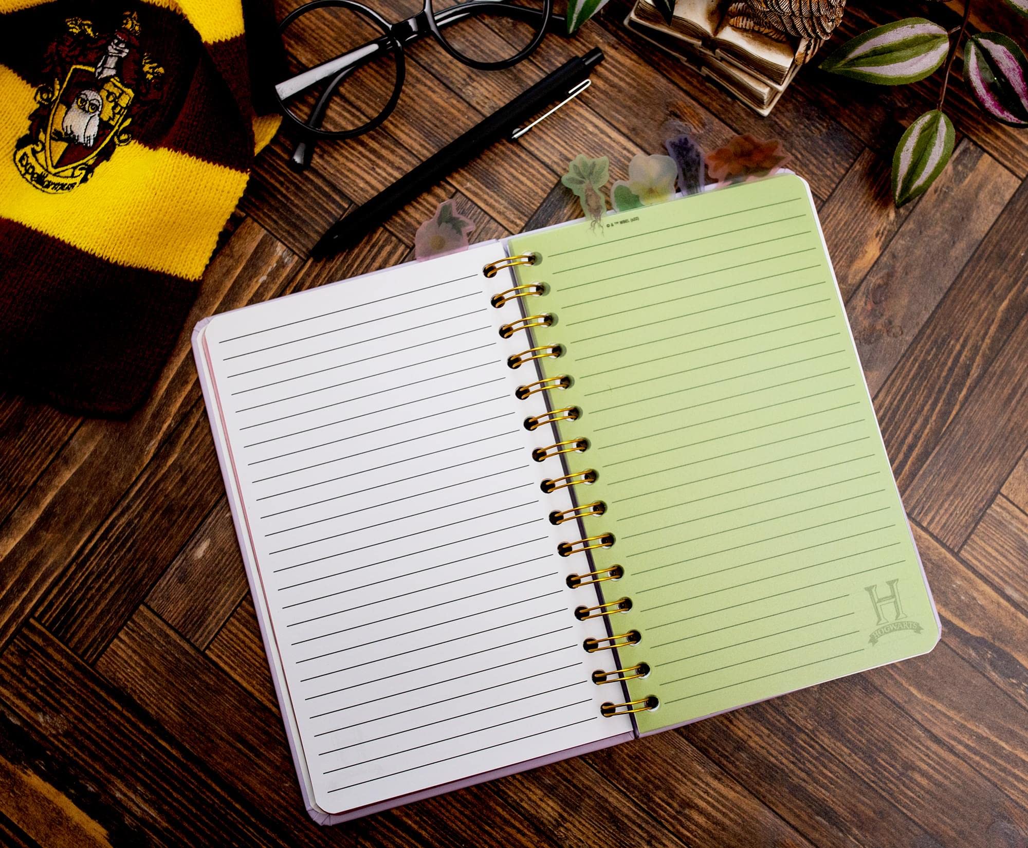 Foto 4 | Libreta Espiral Harry Potter Hogwarts Herbology 75 Páginas - Venta Internacional