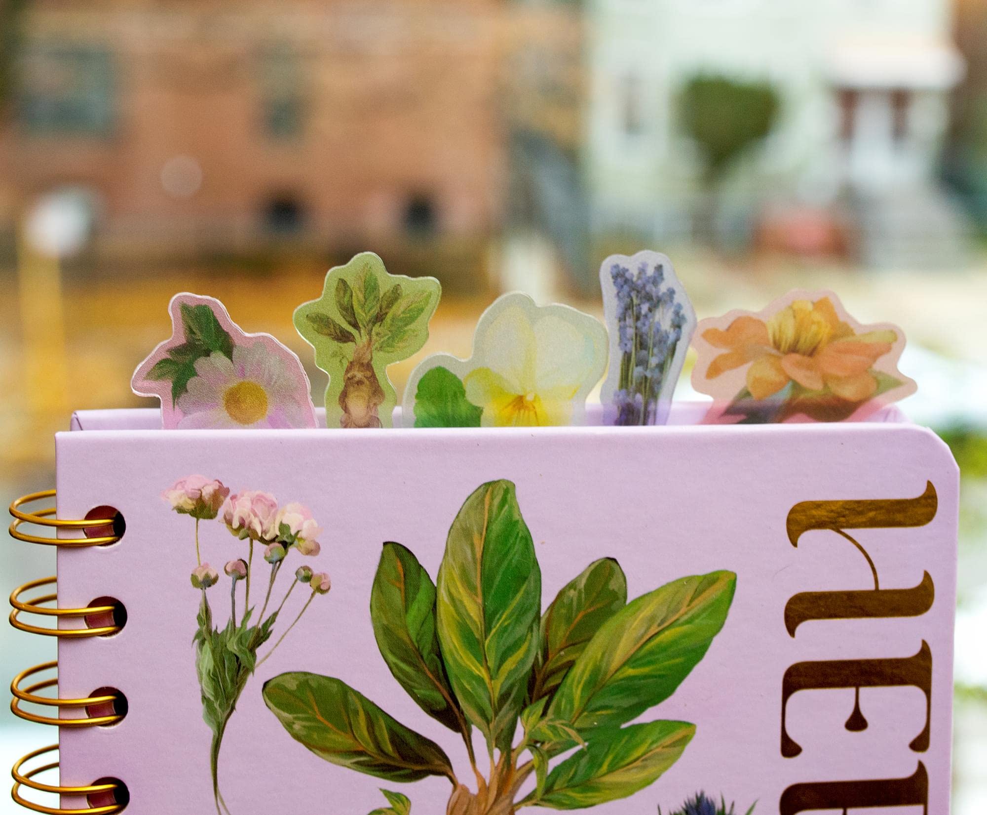 Foto 6 pulgar | Libreta Espiral Harry Potter Hogwarts Herbology 75 Páginas - Venta Internacional