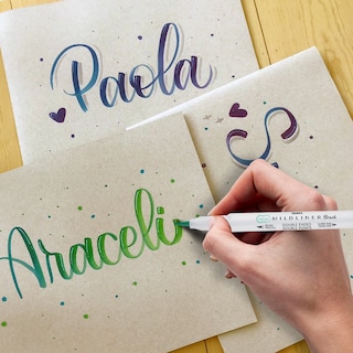 Foto 7 | Marcador Creativo Zebra Mildliner Brush Doble Punta Colores Surtidos Estuche 15 Piezas