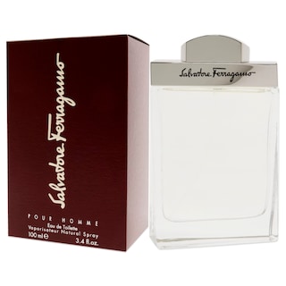 Foto 4 | Perfume Salvatore Ferragamo S. Ferragamo Edt 100 Ml para Hombre - Venta Internacional