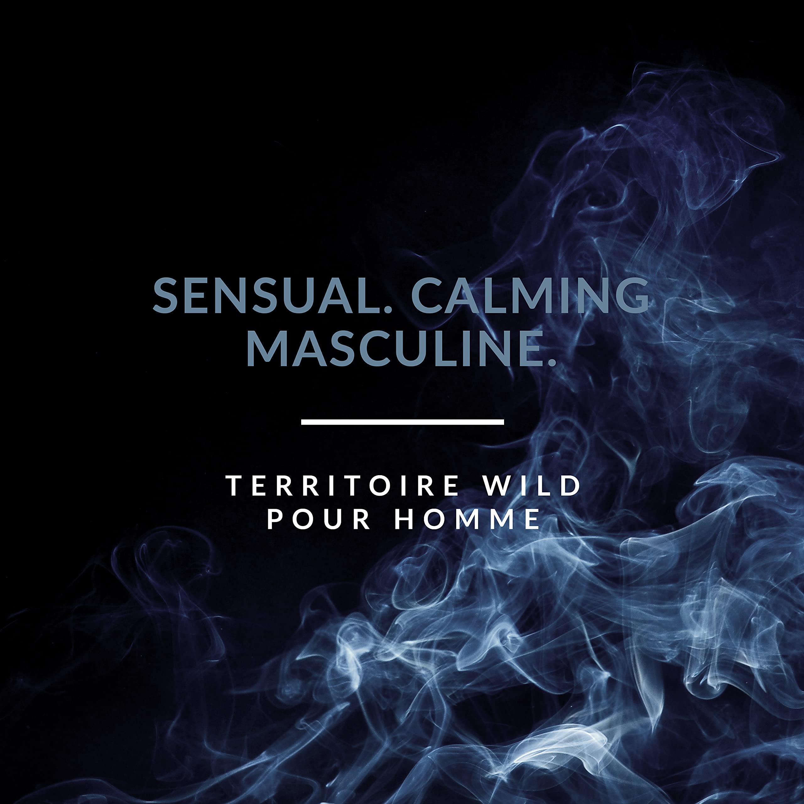 Foto 3 pulgar | Perfume Territoire Eau De Parfum Wild Para Hombre - Venta Internacional.