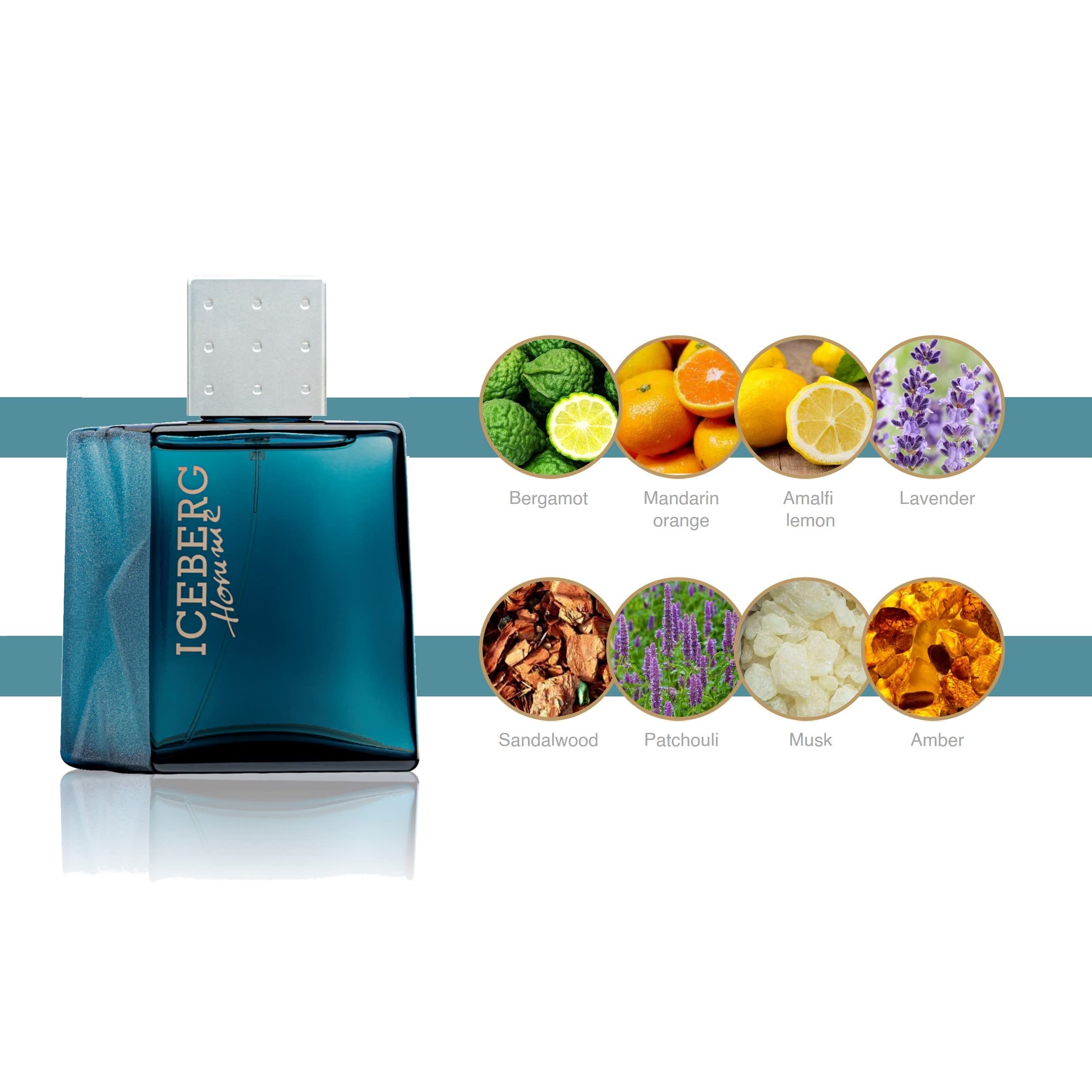 Foto 5 pulgar | Perfume Iceberg Homme Aromatic Fougere Edt 100 Ml Para Hombre - Venta Internacional.