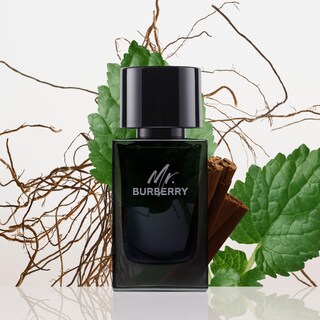 Foto 2 | Perfume Burberry Mr. Burberry Eau De Parfum para Hombre 100 ml - Venta Internacional