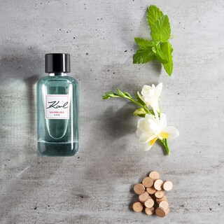 Foto 3 | Perfume Karl Lagerfeld Hamburg Alster Eau de Toilette 100 ml para Hombre - Venta Internacional