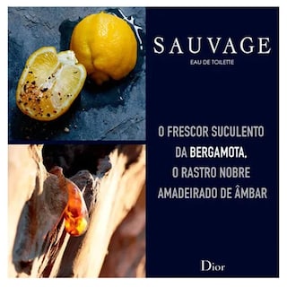 Foto 3 | Perfume Dior Sauvage Eau de Toilette 100 ml para Hombre - Venta Internacional