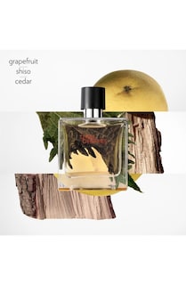 Foto 3 | Perfume Hermes Terre D' Hermes Parfum 75 Ml Para Hombre - Venta Internacional