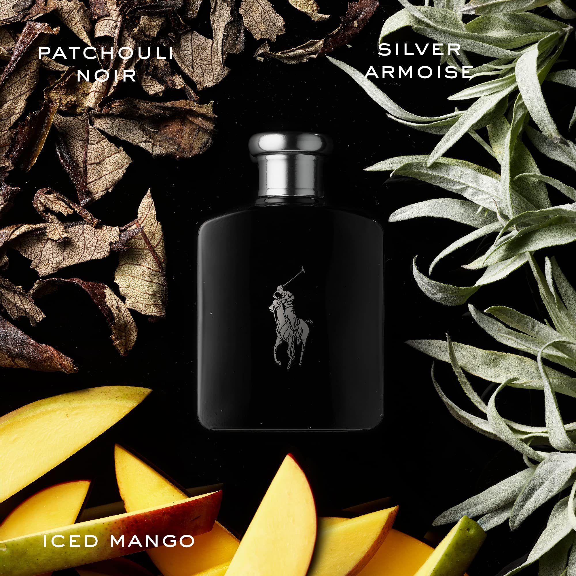 Foto 2 | Perfume Ralph Lauren Polo Black Eau de Toilette 200 ml para Hombre - Venta Internacional
