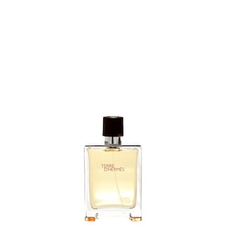 Foto 1 | Perfume Hermes Terre D'hermes Edt 50 Ml para Hombre - Venta Internacional