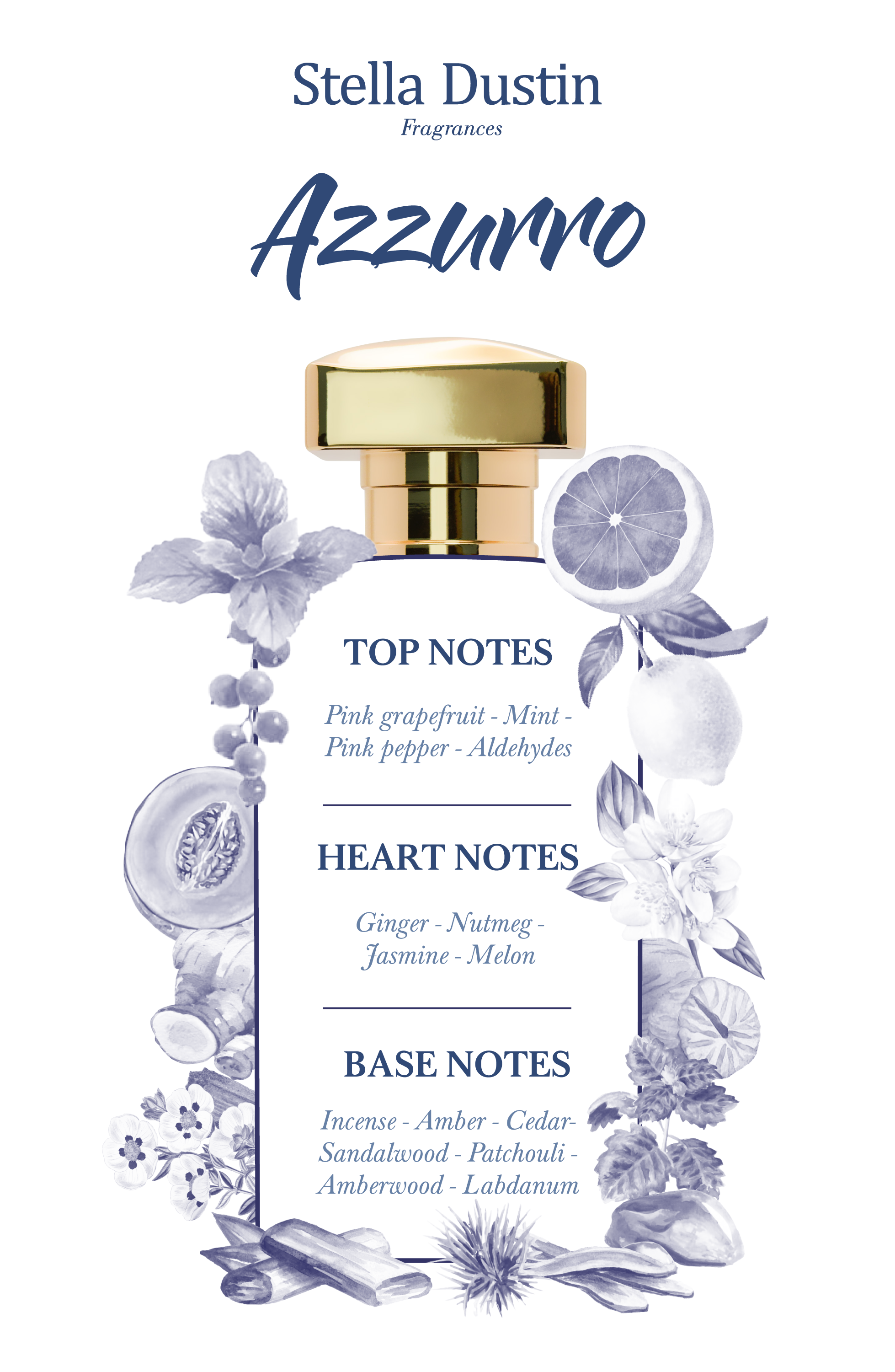 Foto 4 pulgar | Perfume Stella Dustin Terra Azzurro Edp 100 ml para Hombre