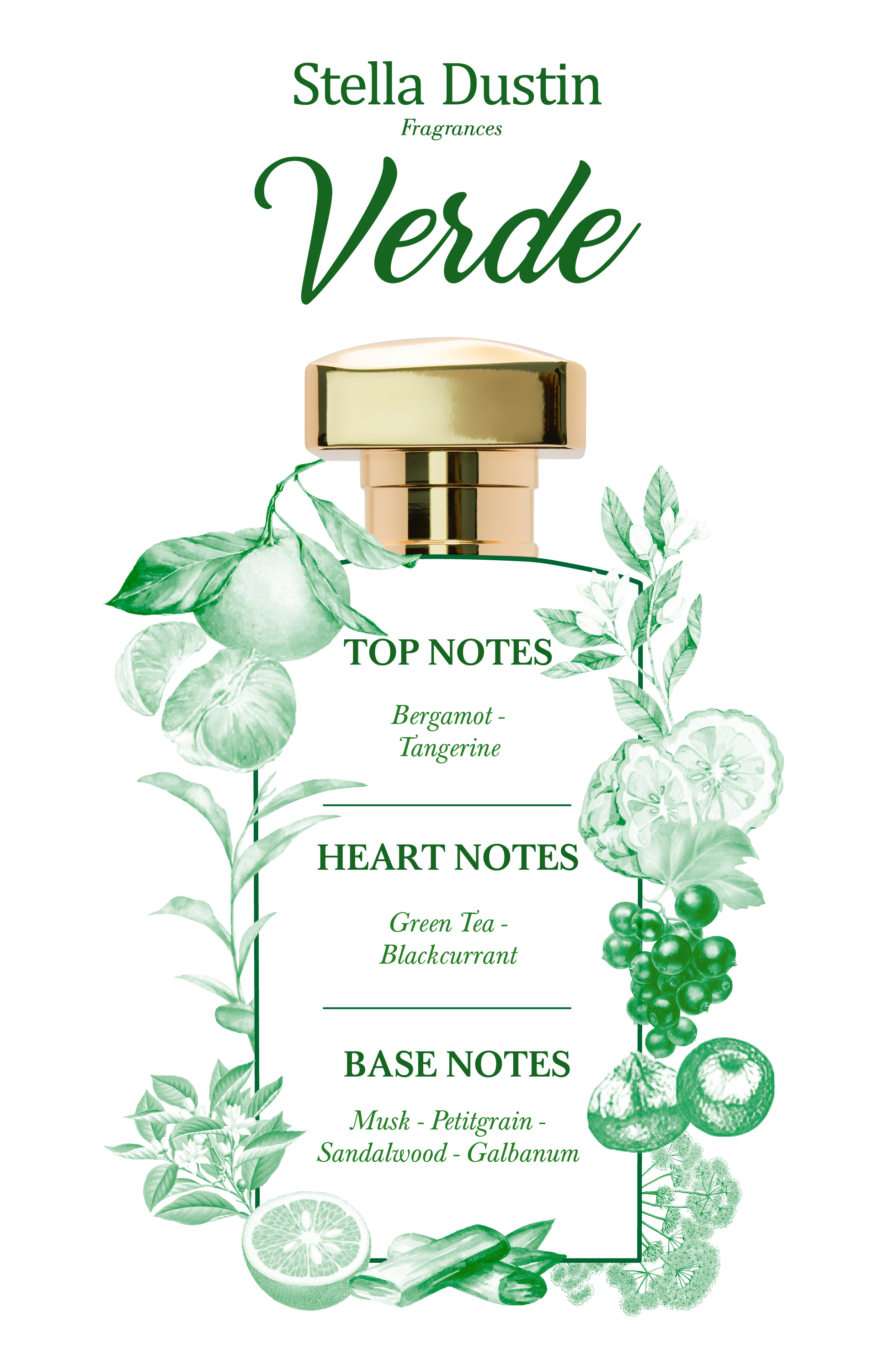 Foto 4 pulgar | Perfume Stella Dustin Terra Verde Edp 100 ml para Hombre