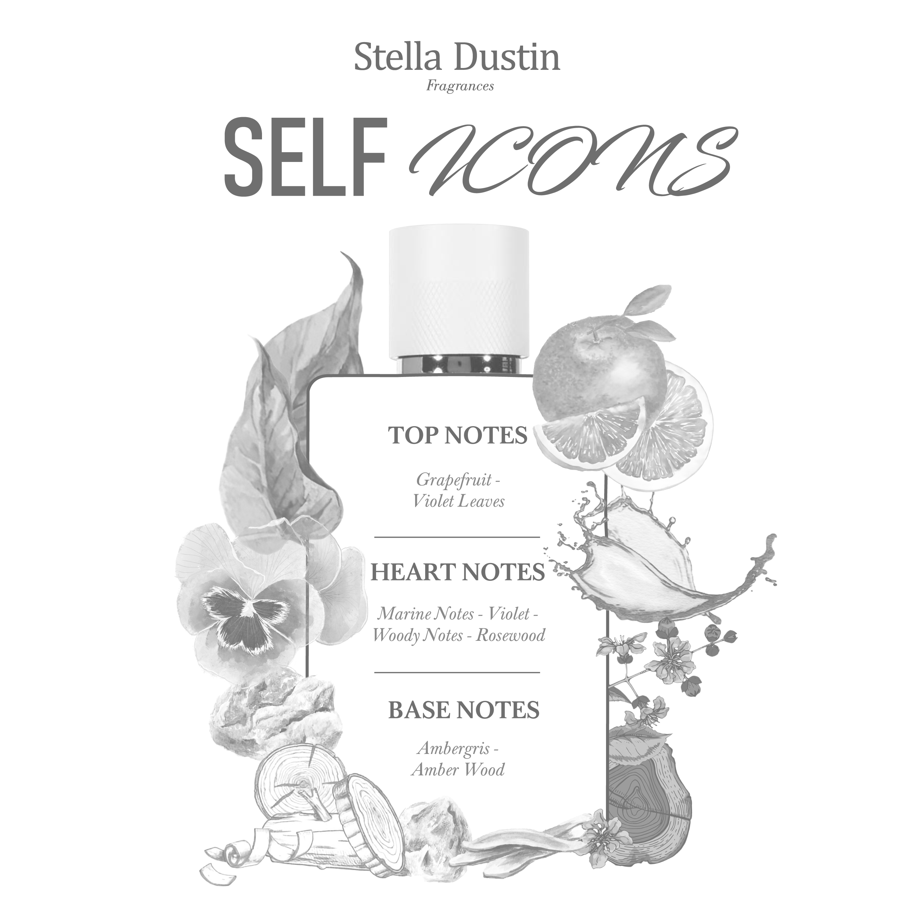 Foto 4 pulgar | Perfume Stella Dustin Self Icons Edp 100 ml para Hombre