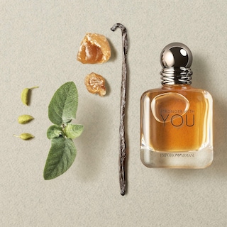 Foto 2 | Perfume Giorgio Armani Emporio Armani Stronger With You Edt 50 Ml - Venta Internacional