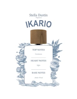 Foto 3 | Perfume Stella Dustin Ikario Edp 100 ml para Hombre