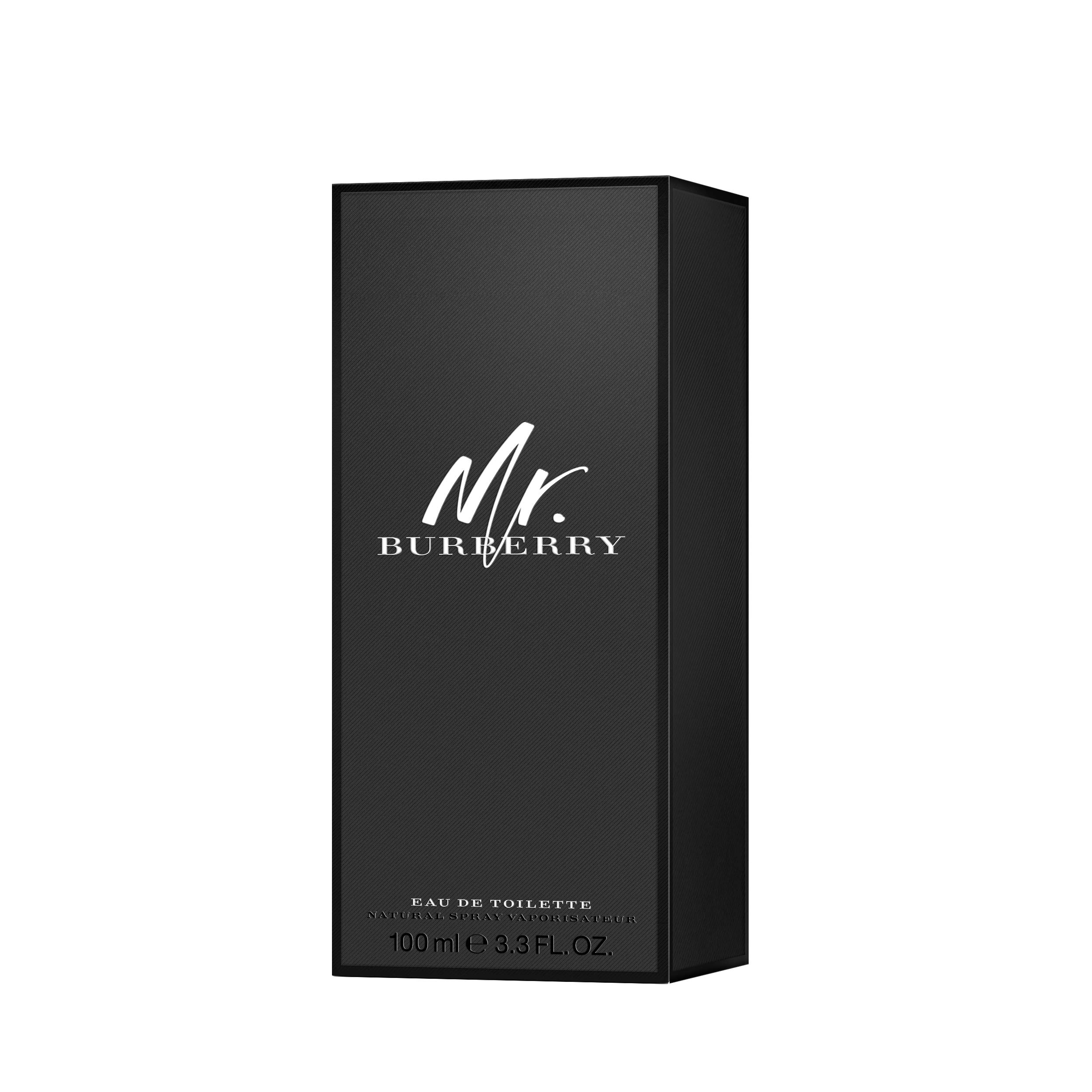 Foto 4 pulgar | Perfume Burberry Mr. Burberry Eau De Toilette 100 Ml Para Hombre - Venta Internacional.