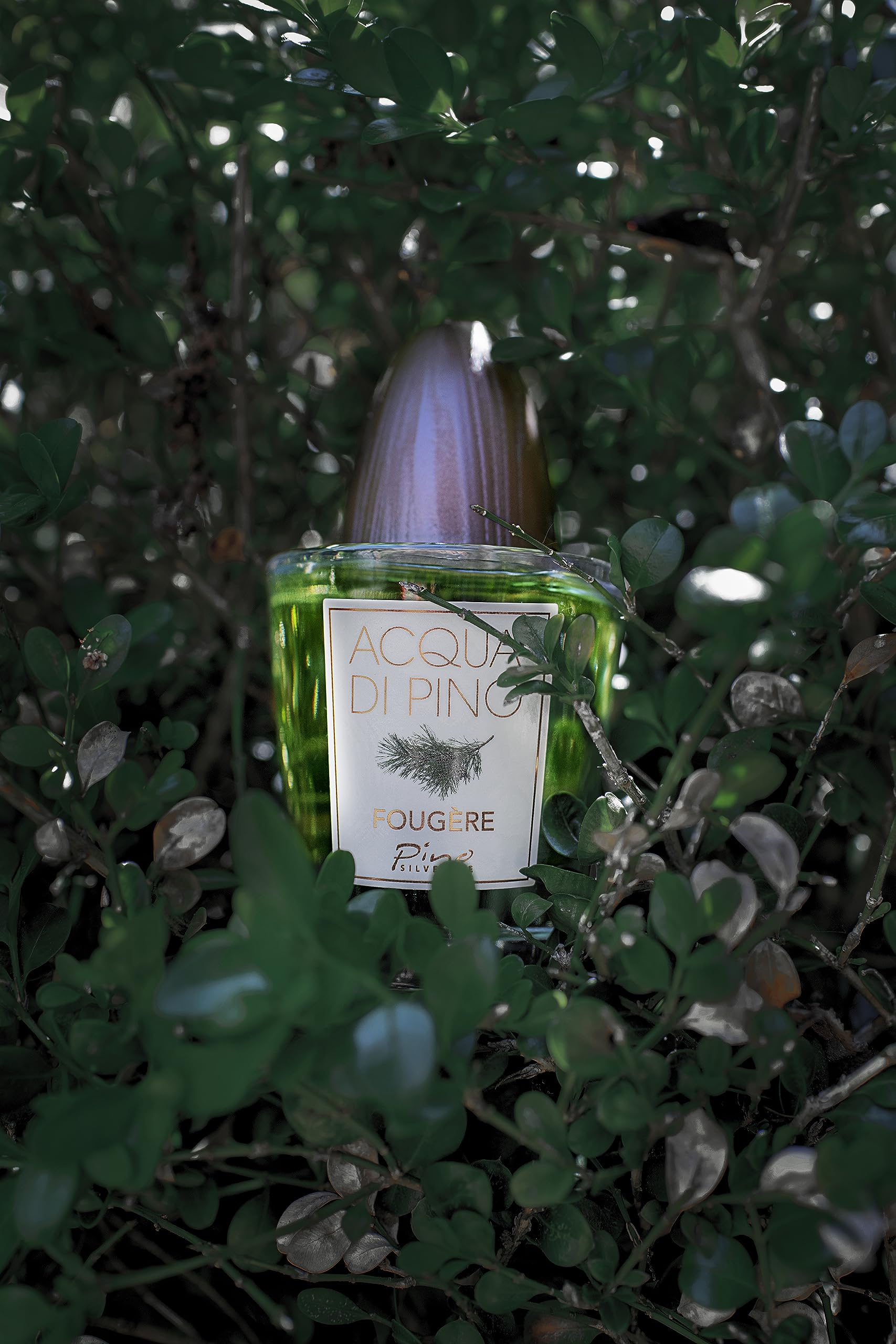 Foto 7 pulgar | Perfume Pino Silvestre Acqua Di Pino Fougere Eau De Toilette 125 Ml - Venta Internacional