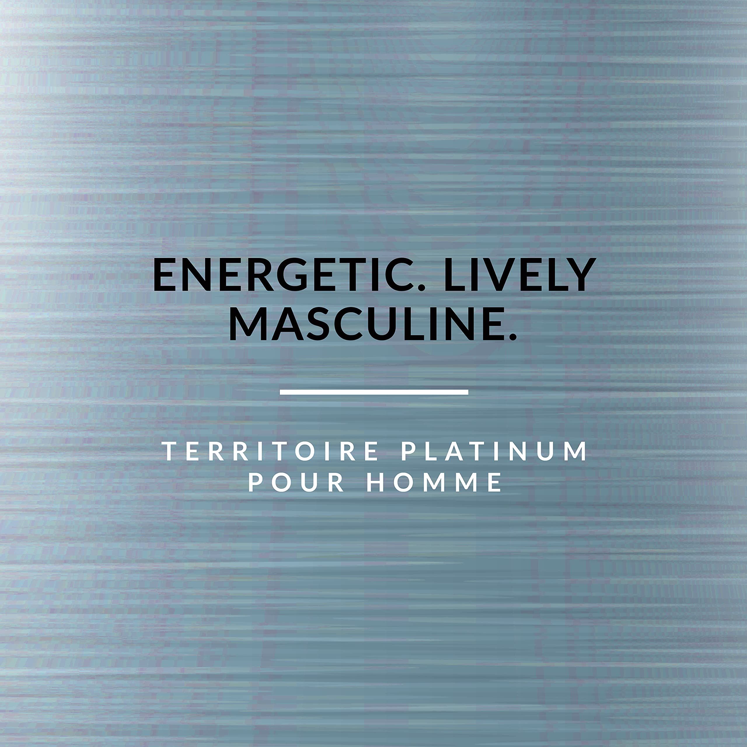 Foto 3 pulgar | Perfume Territoire Eau De Parfum Platinum Para Hombre 100 Ml - Venta Internacional.