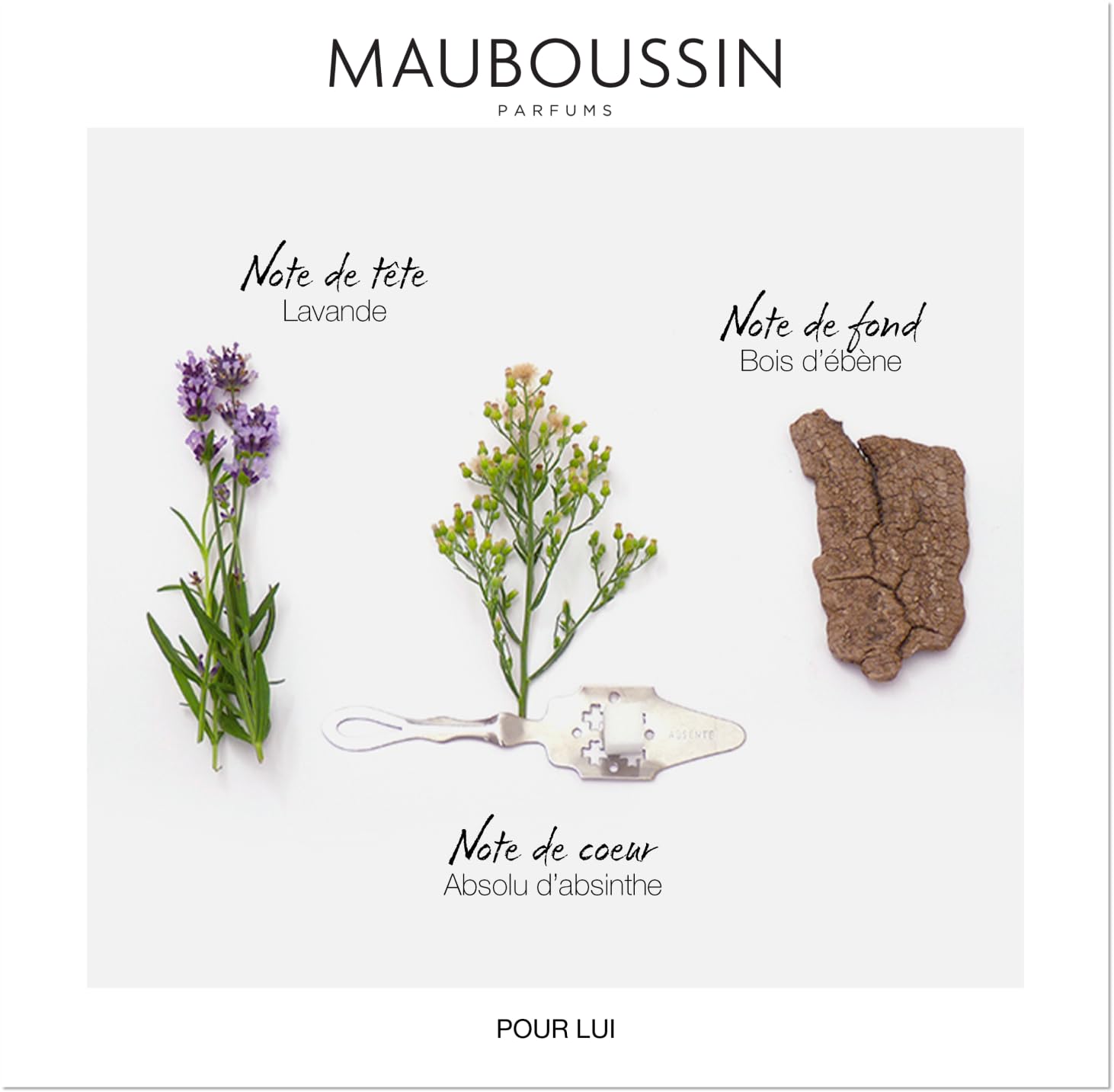 Foto 5 pulgar | Perfume Mauboussin Pour Lui Eau De Parfum, 100 Ml, Para Hombre - Venta Internacional.