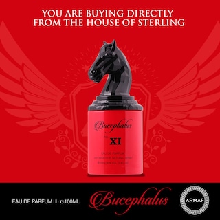 Foto 3 | Perfume Armaf Bucephalus XI Eau de Parfum 100 ml para Hombre - Venta Internacional