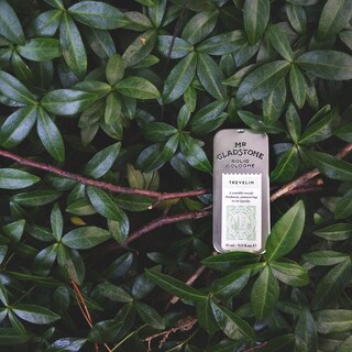 Foto 4 | Colonia Sólida Mr. Gladstone Trevelin, 15 Ml (paquete De 1) - Venta Internacional.