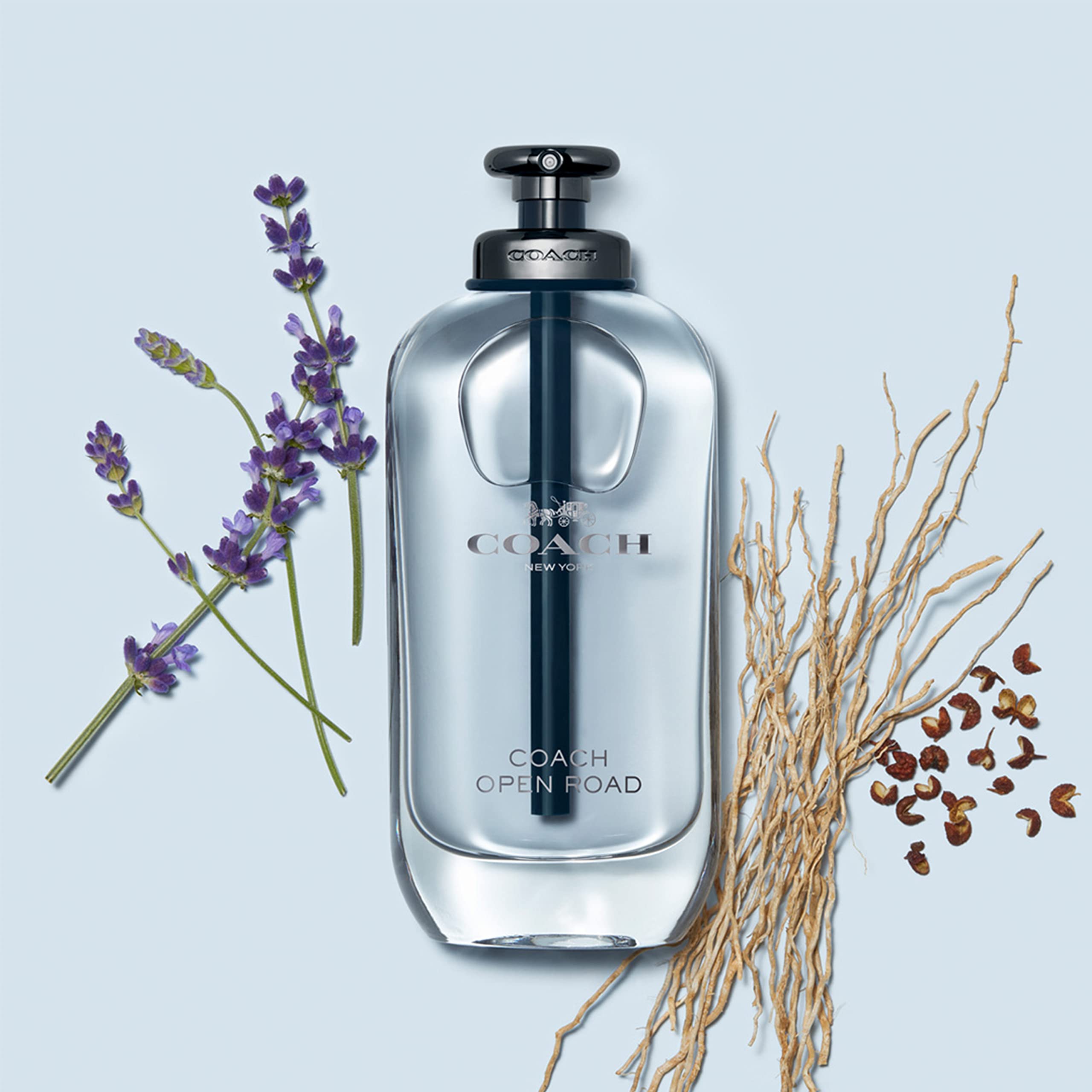 Foto 4 pulgar | Perfume Coach Open Road Eau De Parfum Para Mujer, 100 Ml - Venta Internacional.