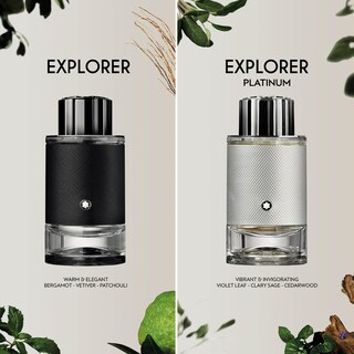 Foto 5 | Perfume Montblanc Explorer Platinum Eau De Parfum 100 Ml - Venta Internacional.