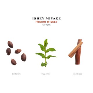 Foto 3 | Perfume Issey Miyake Fusion D'issey Extreme Edt 100 Ml Para Hombre - Venta Internacional.