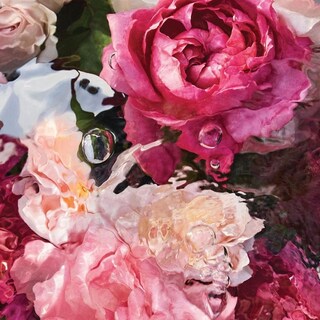 Foto 4 | Perfume Guerlain Aqua Allegoria Rosa Rossa Eau De Toilette 75 Ml - Venta Internacional.