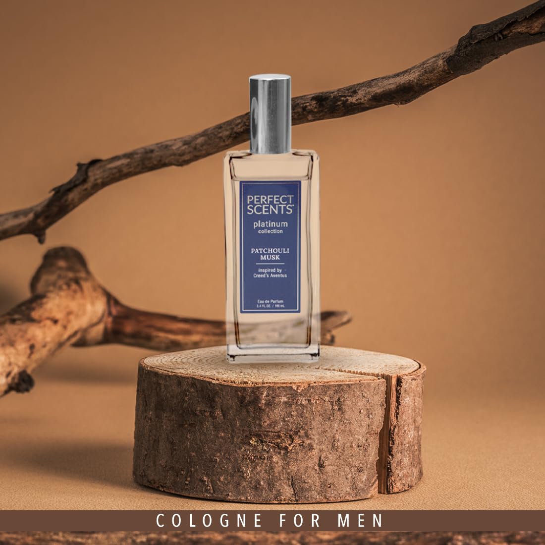 Foto 3 pulgar | Perfume Instyle Fragrances Perfect Scents Aventus Platinum 100 Ml - Venta Internacional.