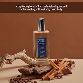 Foto 5 | Perfume Instyle Fragrances Perfect Scents Le Male Platinum 100 Ml - Venta Internacional.
