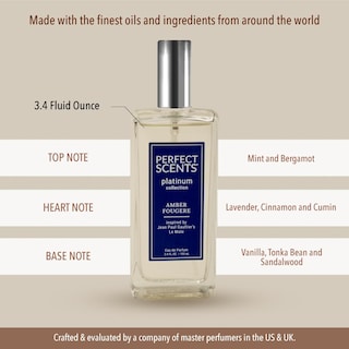 Foto 7 | Perfume Instyle Fragrances Perfect Scents Le Male Platinum 100 Ml - Venta Internacional.
