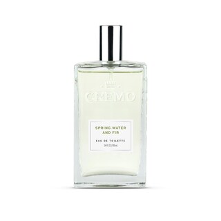 Foto 1 | Cologne Spray Cremo Spring Water Fir 100 Ml Para Hombre - Venta Internacional.