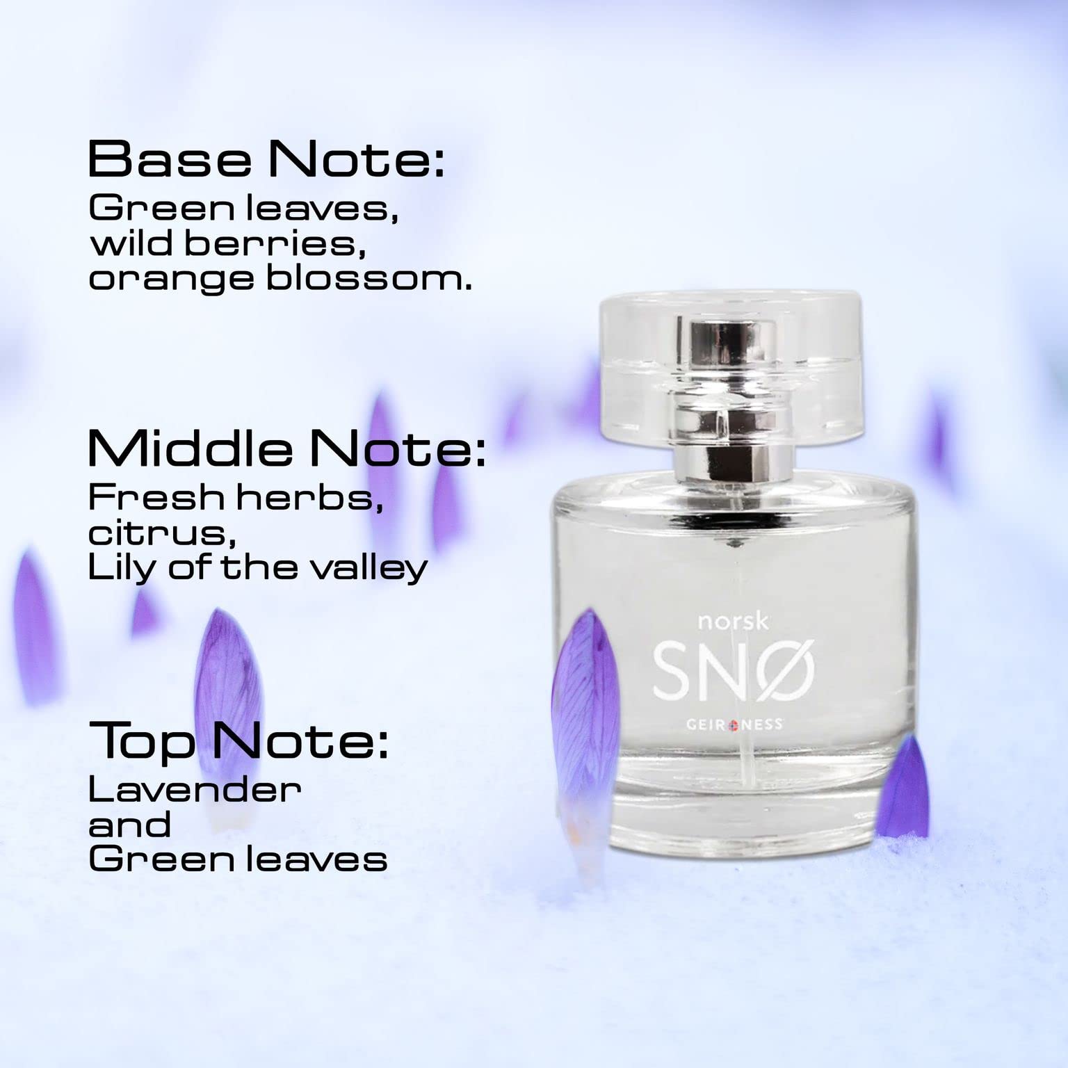 Foto 4 pulgar | Perfume Geir Ness Norsk Snø Eau de Parfum 100 ml Unisex - Venta Internacional