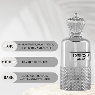 Foto 4 | Perfume Hamidi Insignia Argent para Hombre 100 Ml Perfume En Aerosol - Venta Internacional