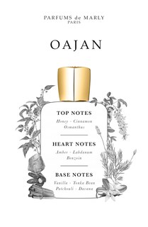 Foto 3 | Perfume Parfums de Marly Oajan Eau De Parfum 125 ml para Hombre - Venta Internacional