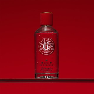 Foto 3 | Perfume Roger & Gallet Jean Marie Farina, Agua De Colonia, 100 Ml - Venta Internacional.