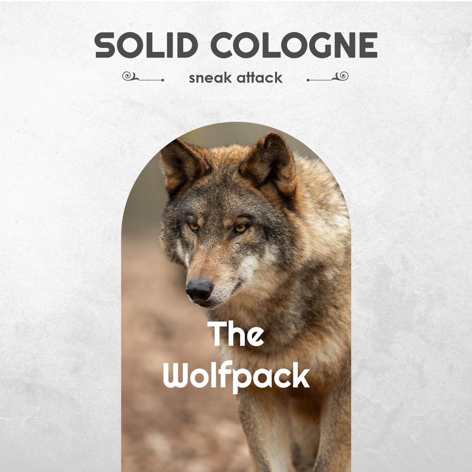 Foto 4 pulgar | Set De Colonia Sólida The Man Brand Wolfpack De 4 X 22 Ml Con Funda - Venta Internacional.