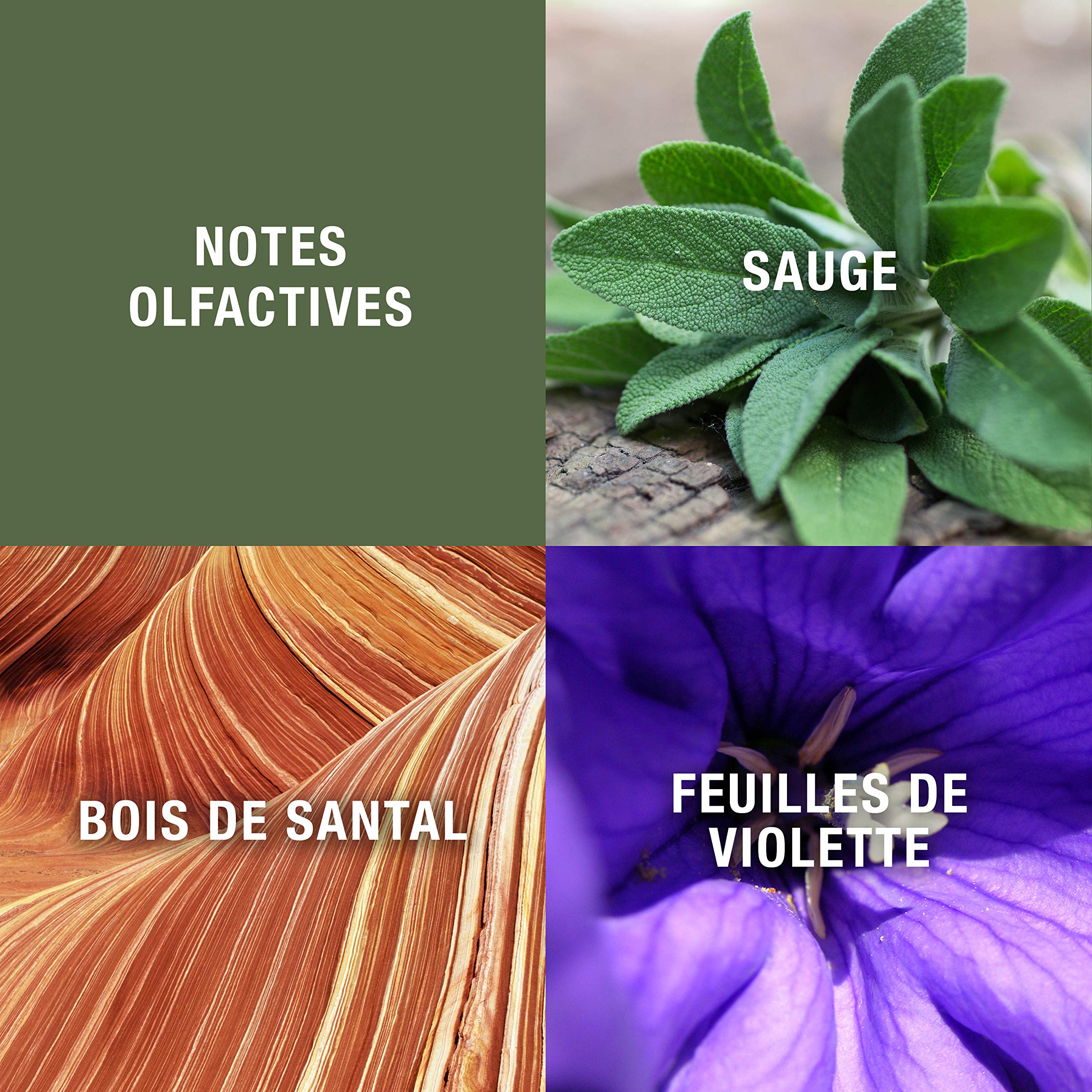 Foto 5 pulgar | Perfume Geoffrey Beene, Franela Gris, 120 Ml - Venta Internacional.