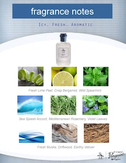 Foto 5 | Perfume Penguin Original Penguin Premium Blend 100 ml para Hombre - Venta Internacional