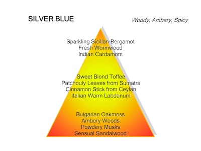 Foto 3 | Perfume Mancera Silver Blue Eau De Parfum 120 Ml Para Hombre - Venta Internacional