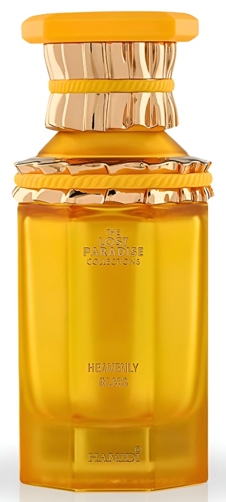 Foto 1 | Perfume Hamidi The Lost Paradise Edp 100 ml Unisex-Venta Internacional