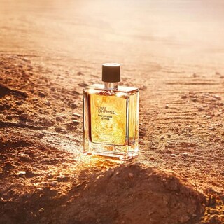 Foto 3 | Perfume Hermes Terre D'hermes Eau Intense Vetiver, 5 Ml, Para Hombre - Venta Internacional.