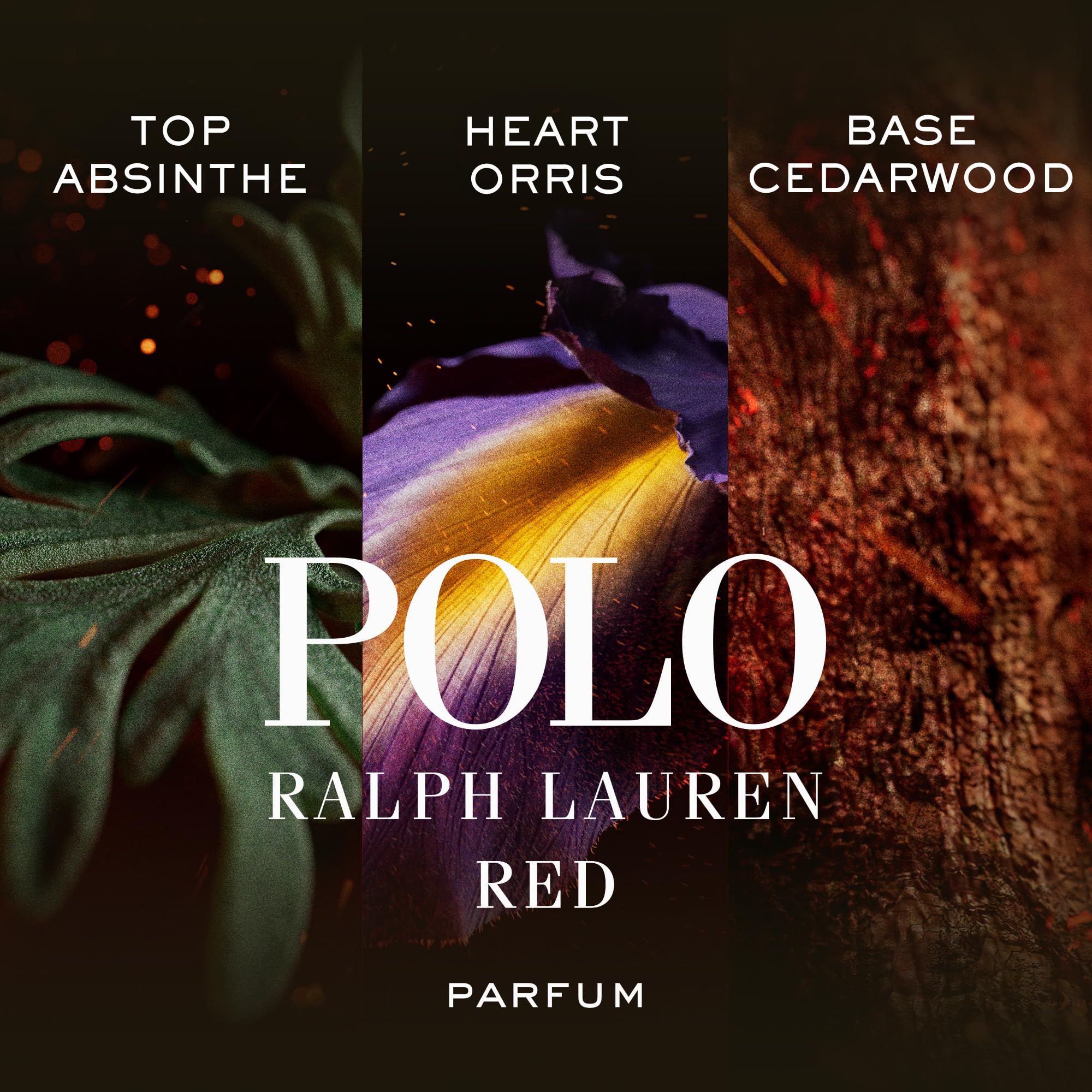 Foto 3 pulgar | Perfume Ralph Lauren Fragrances Polo Red Parfum 150 ml para Hombre - Venta Internacional