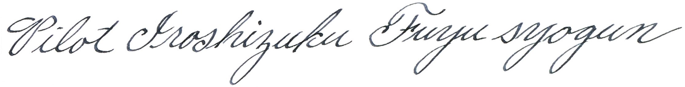 Foto 6 pulgar | Pluma Estilográfica Ink Pilot Iroshizuku Fuyu-syogun, 50 Ml, Color Gris Frío - Venta Internacional.