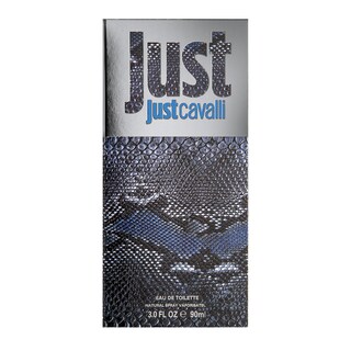 Foto 3 | Perfume Roberto Cavalli Just Cavalli Eau de Toilette para Hombre 90 ml - Venta Internacional