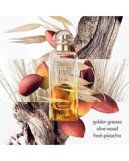 Foto 4 | Eau De Toilette Perfume Hermes Un Jardin A Cythere, 200 Ml, Recambio - Venta Internacional.