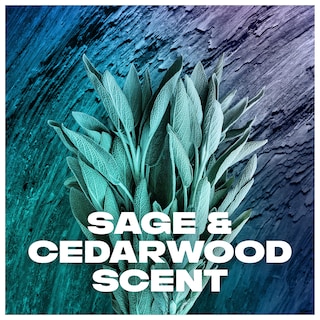 Foto 6 | Desodorante Axe Apollo Sage & Cedarwood - Venta Internacional