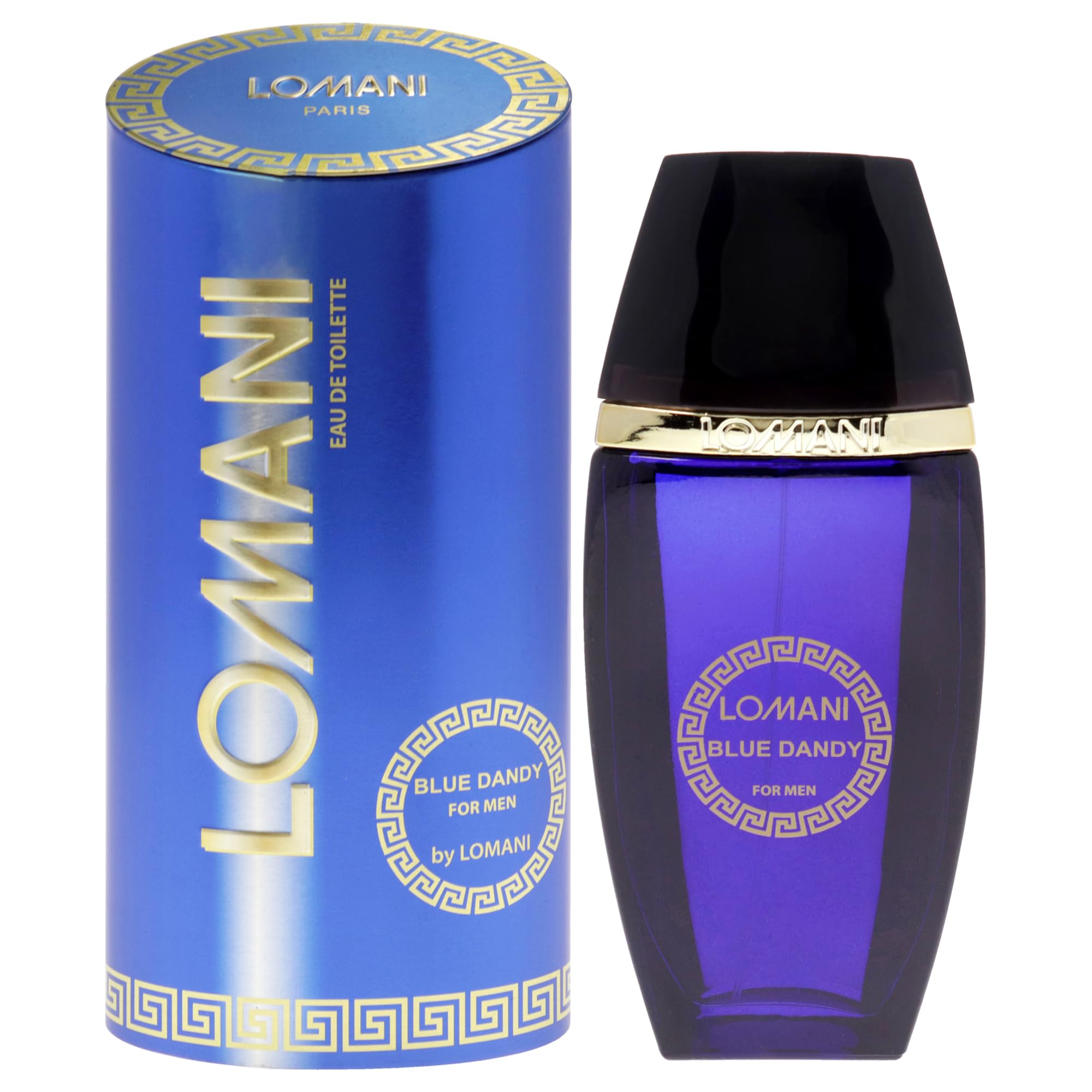 Perfume Lomani Blue Dandy Eau De Toilette 100 Ml Para Hombre - Venta Internacional.