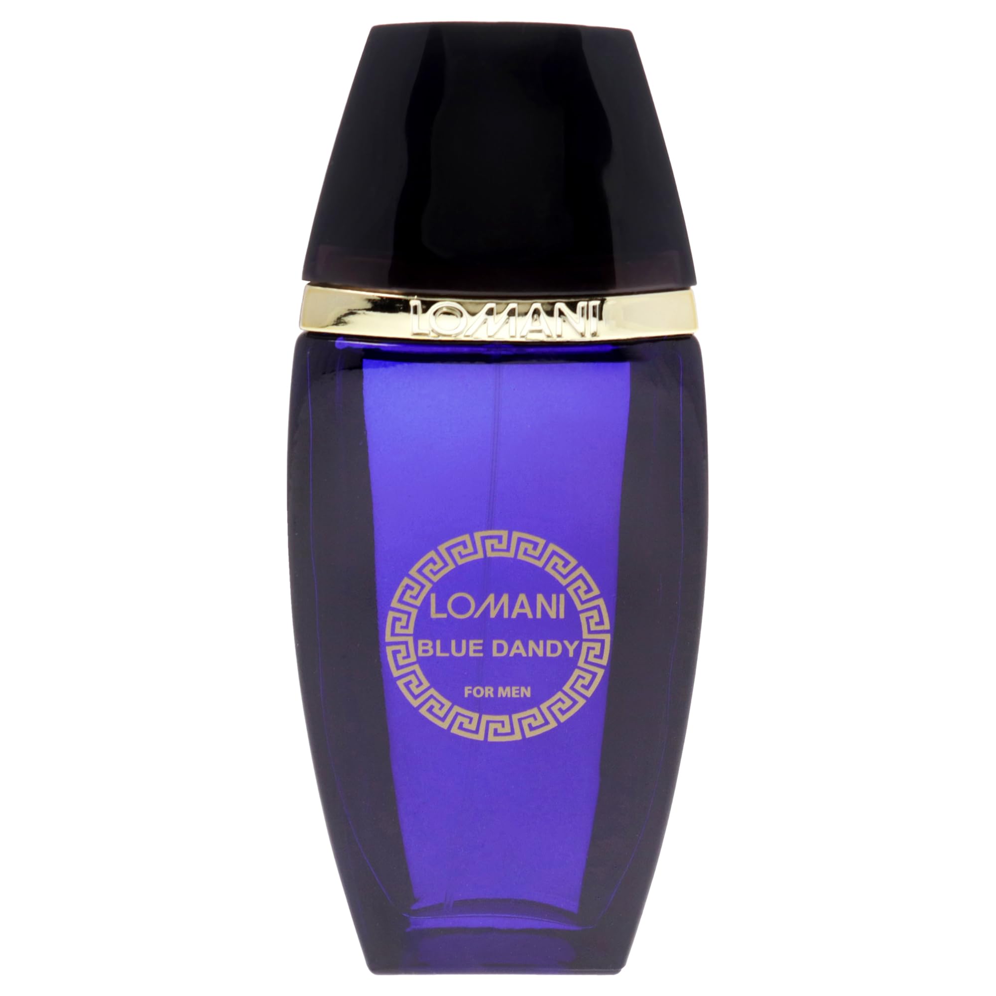 Foto 3 pulgar | Perfume Lomani Blue Dandy Eau De Toilette 100 Ml Para Hombre - Venta Internacional.