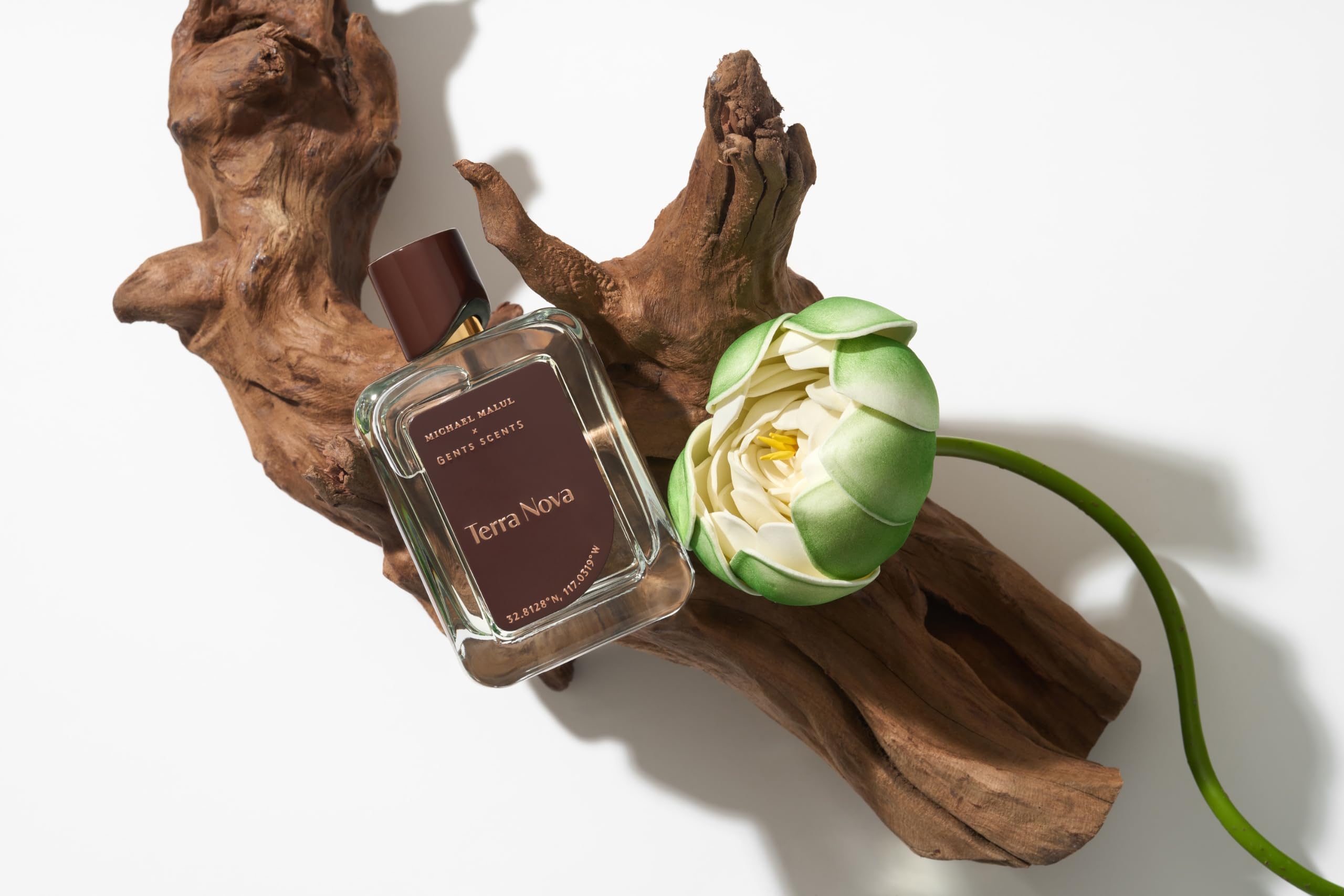 Foto 5 pulgar | Perfume Michael Malul Terra Nova Eau De Parfum Para Hombre, 100 Ml - Venta Internacional.